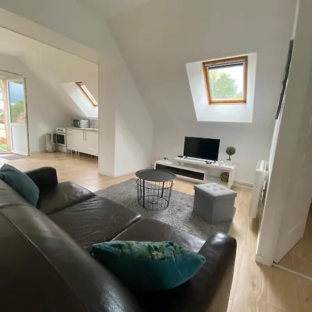 Au Bonheur Des Anes - Maya *