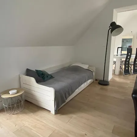 Au Bonheur Des Anes - Maya *